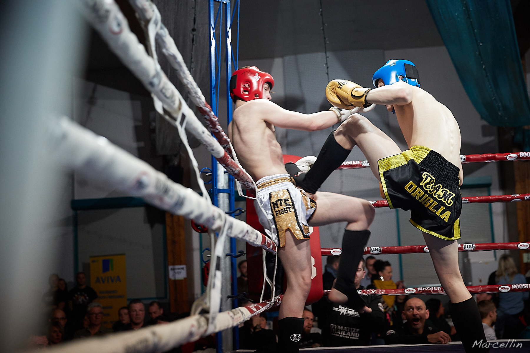 Raphael-Cent - Noha-Spiencen